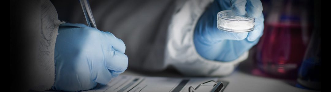 Lab results services